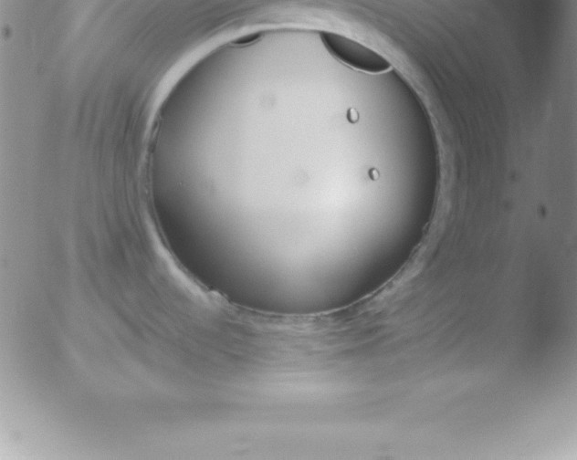 X0000051911536200507082017