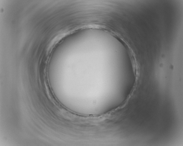 X0000051910001200507152043