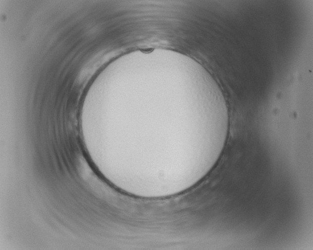 X0000051910002200507152043