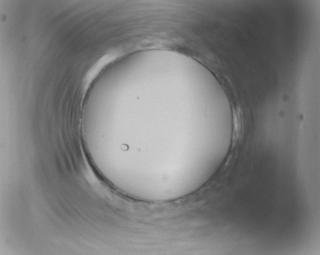 X0000051910003200507152043