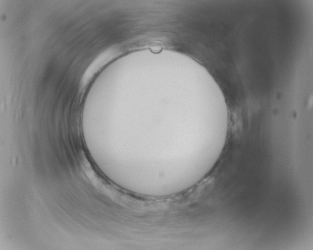 X0000051910004200507152043