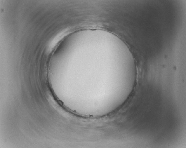 X0000051910005200507152043