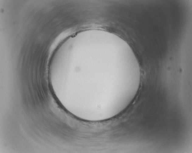 X0000051910006200507152043