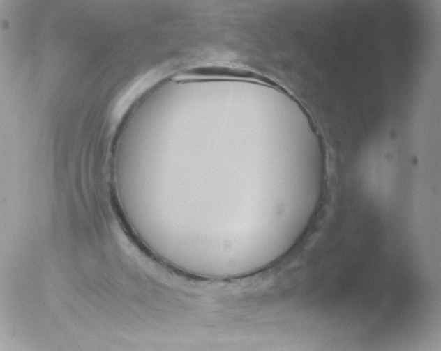 X0000051910007200507152043