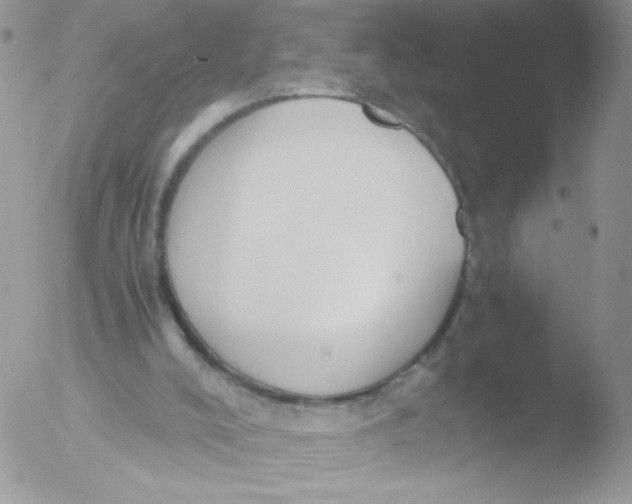 X0000051910008200507152043