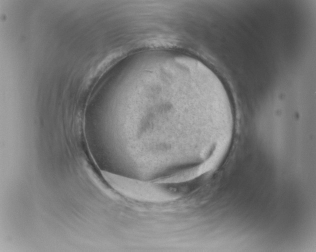 X0000051910009200507152043