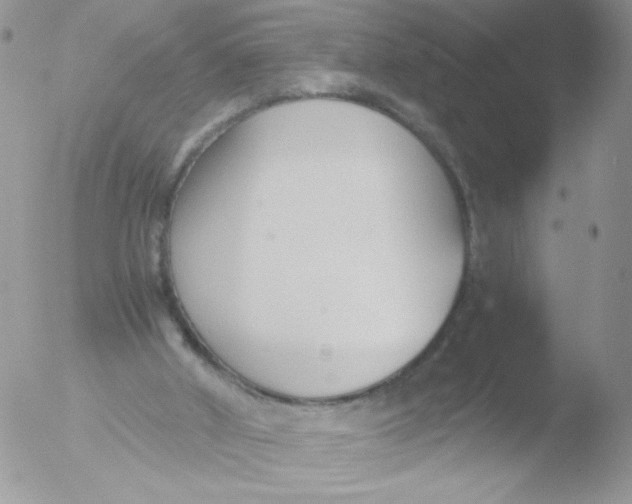 X0000051910010200507152043