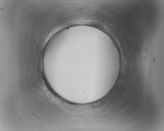 X0000051910011200507152043