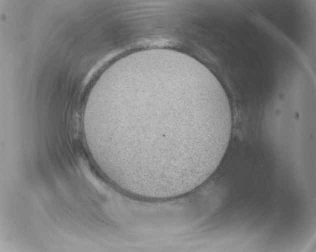 X0000051910012200507152043