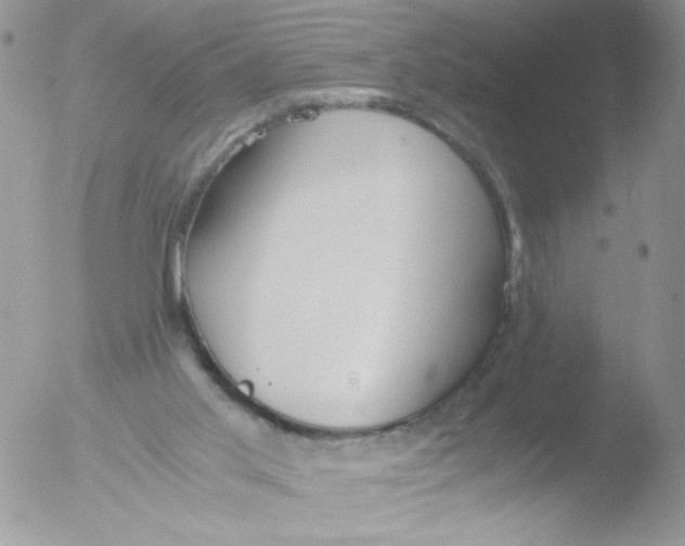 X0000051910013200507152043