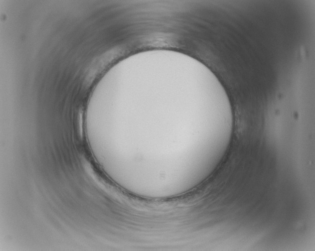 X0000051910014200507152043