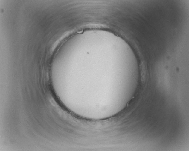 X0000051910015200507152043