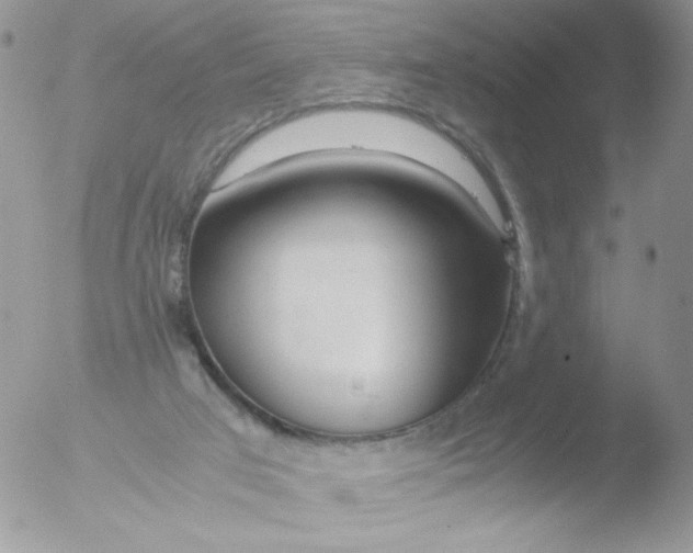 X0000051910017200507152043