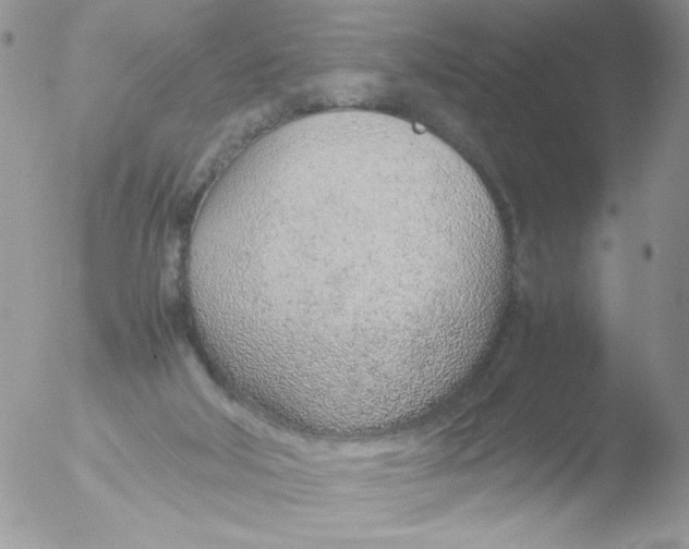 X0000051910018200507152043