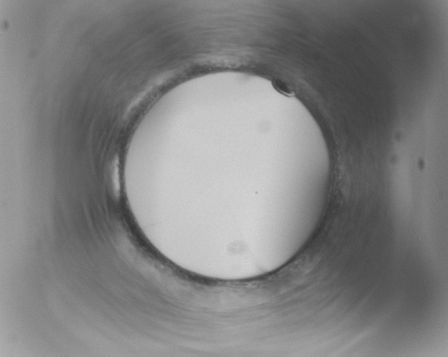 X0000051910020200507152043