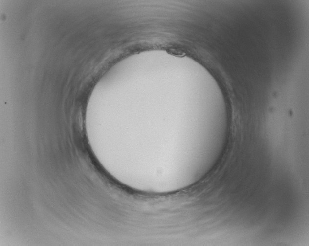 X0000051910021200507152043