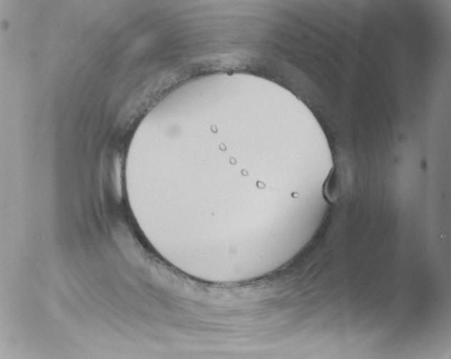 X0000051910022200507152043