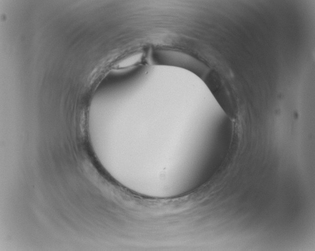 X0000051910023200507152043