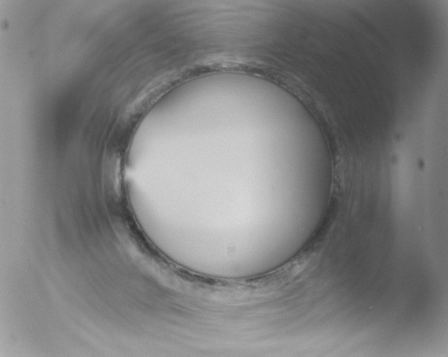 X0000051910024200507152043