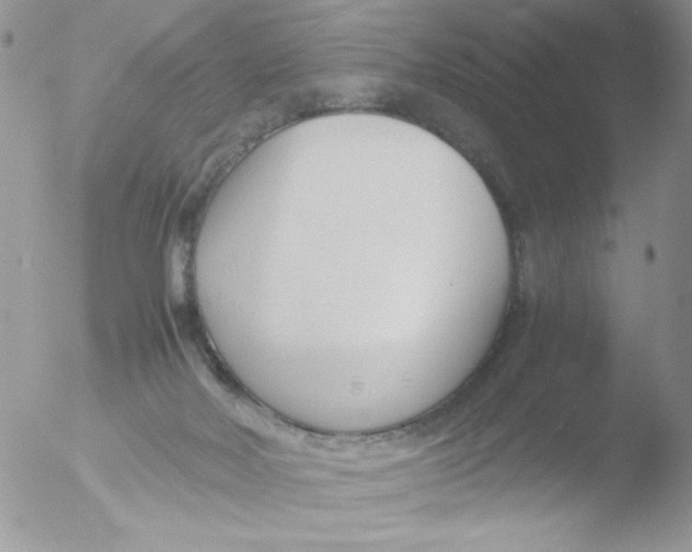 X0000051910026200507152042