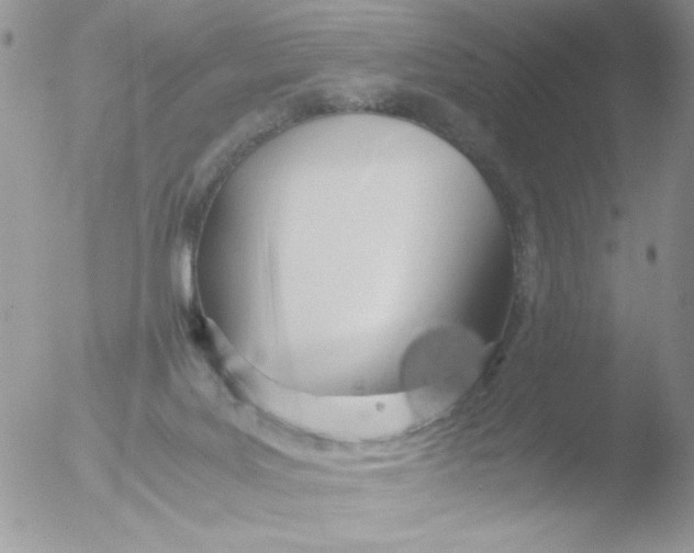 X0000051910027200507152042