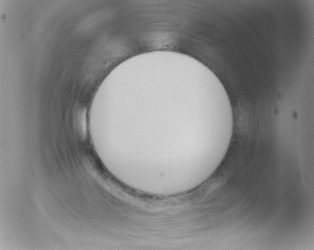 X0000051910028200507152042