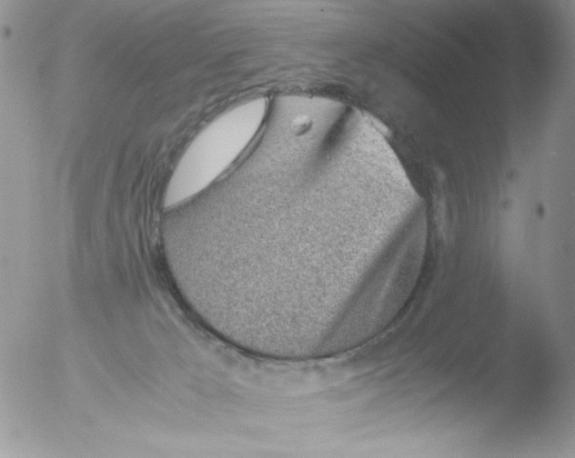 X0000051910029200507152042