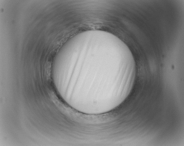 X0000051910030200507152042