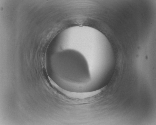 X0000051910031200507152042