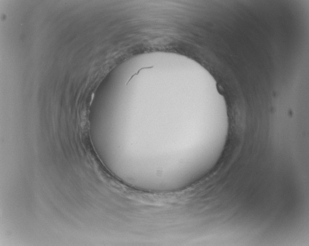 X0000051910033200507152042