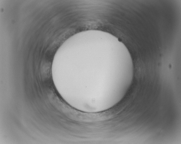 X0000051910034200507152042