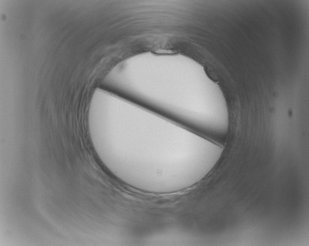 X0000051910035200507152042