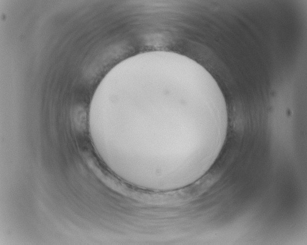 X0000051910036200507152042