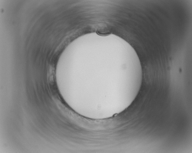 X0000051910038200507152042