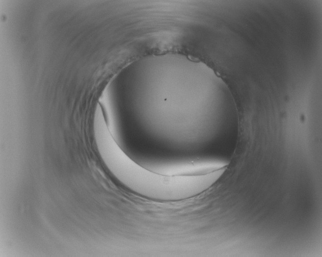 X0000051910039200507152042