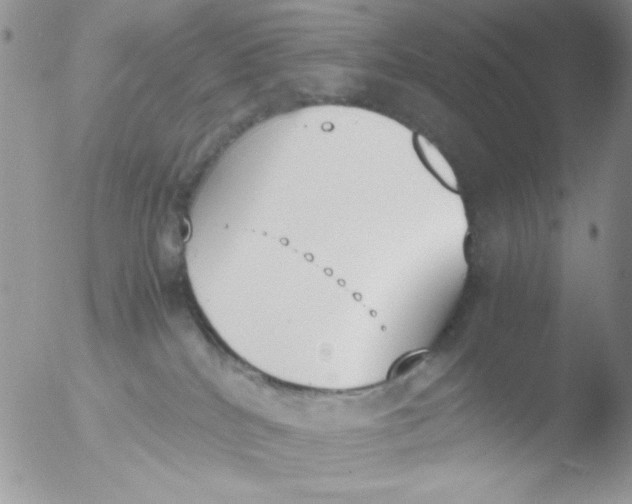 X0000051910040200507152042