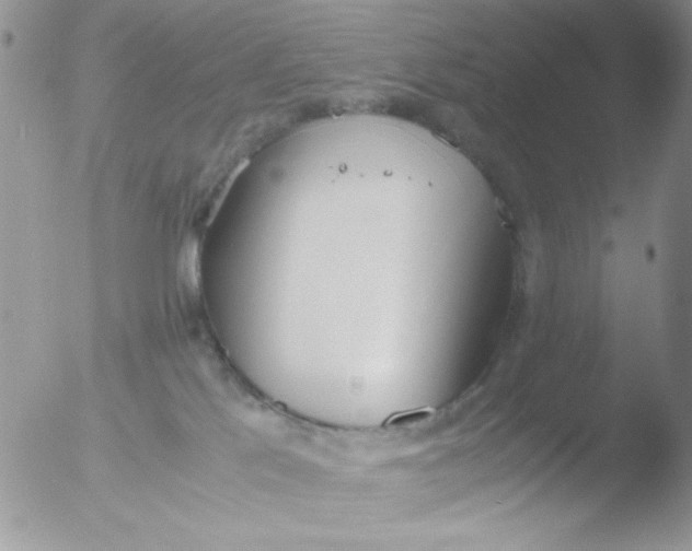 X0000051910041200507152042