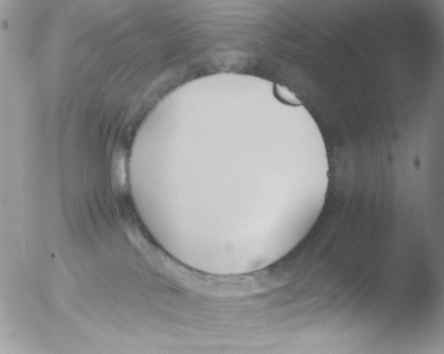 X0000051910042200507152042