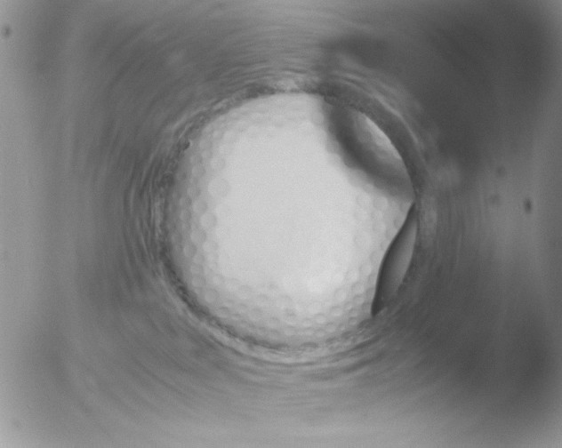 X0000051910043200507152042