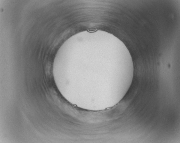 X0000051910044200507152042