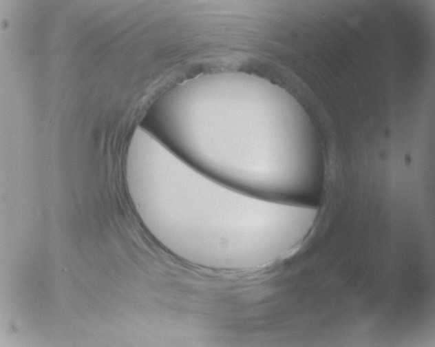 X0000051910045200507152042