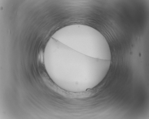 X0000051910046200507152042