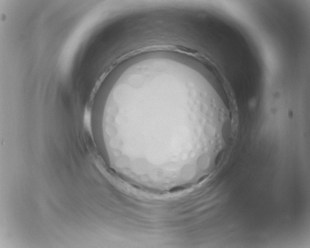 X0000051910047200507152042