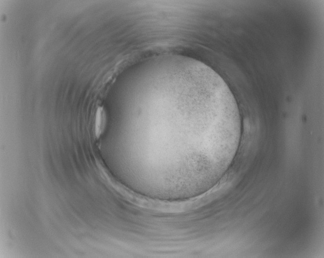 X0000051910048200507152042