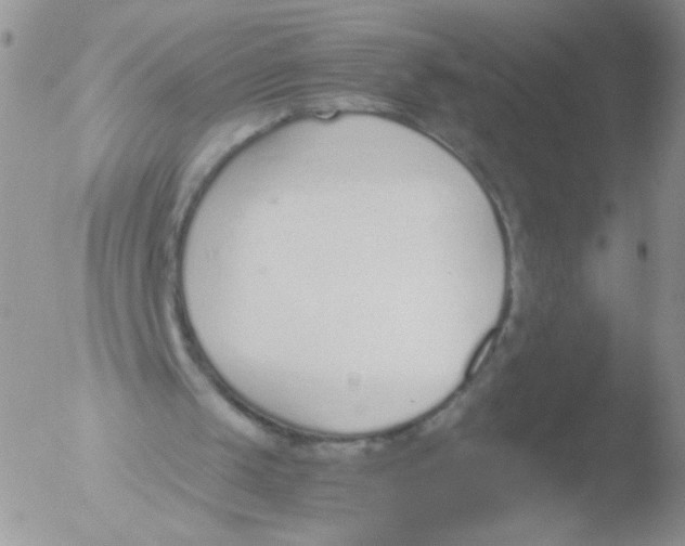 X0000051910049200507152041