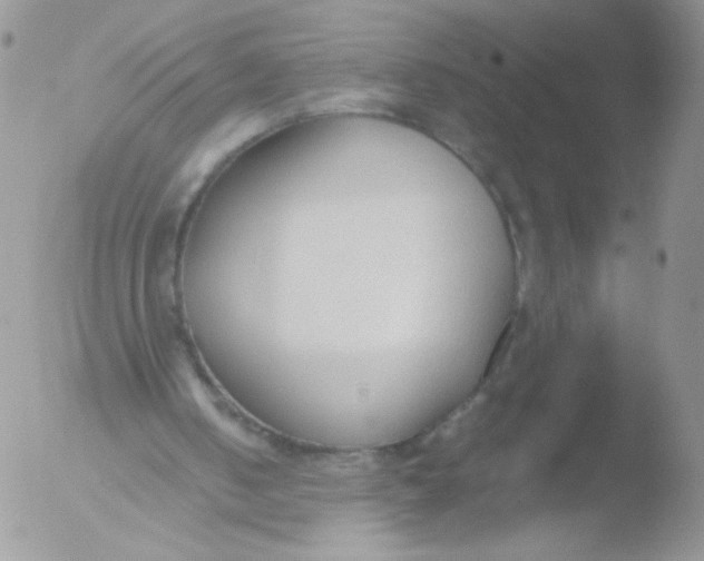 X0000051910050200507152041