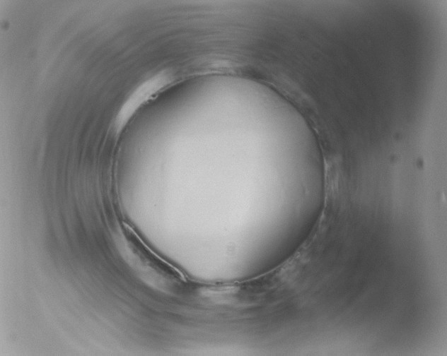 X0000051910051200507152041