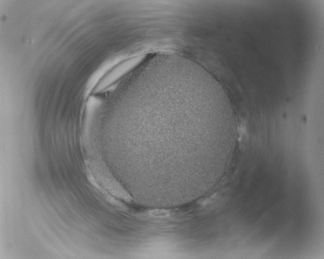 X0000051910052200507152041