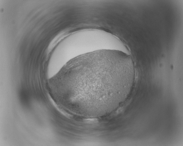 X0000051910053200507152041