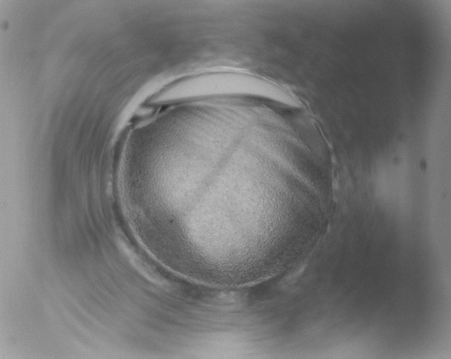 X0000051910056200507152041